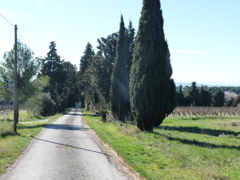 Chateau La Bouriette Moussoulens Exterior foto