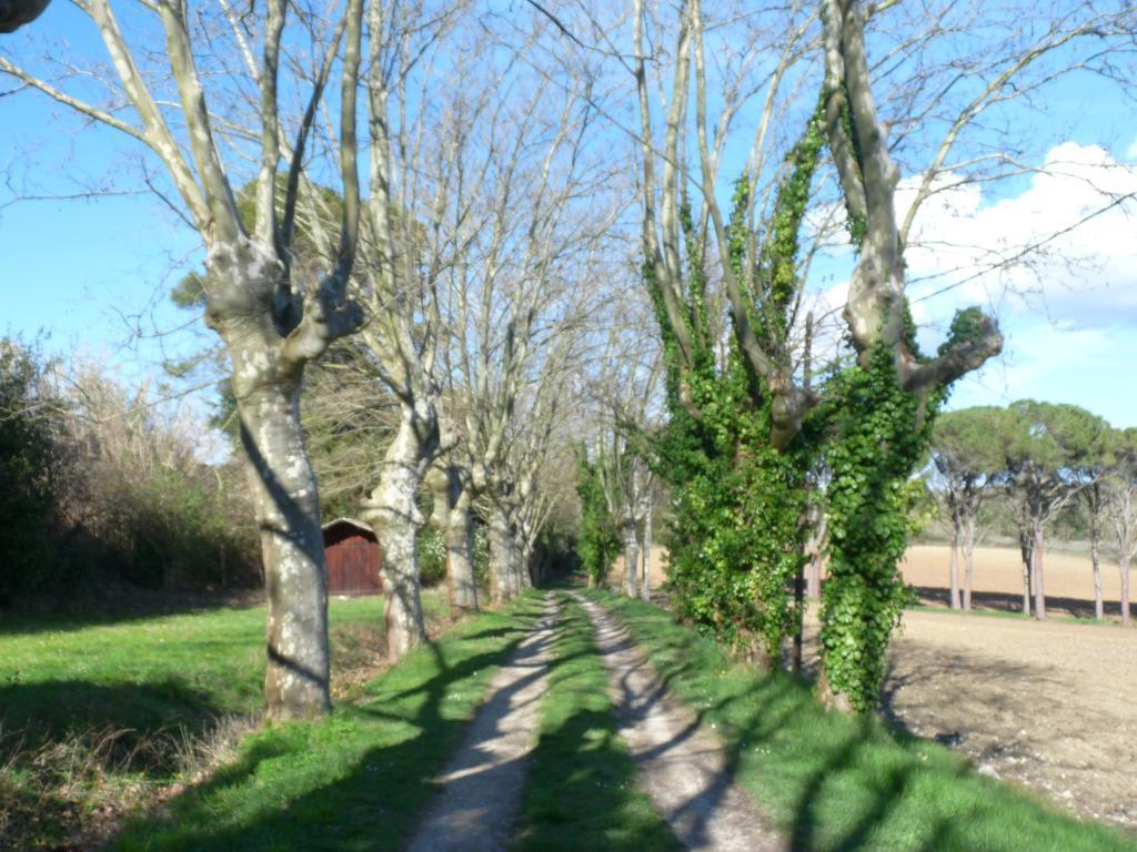 Chateau La Bouriette Moussoulens Exterior foto
